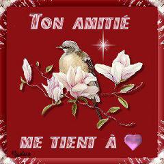 les amis